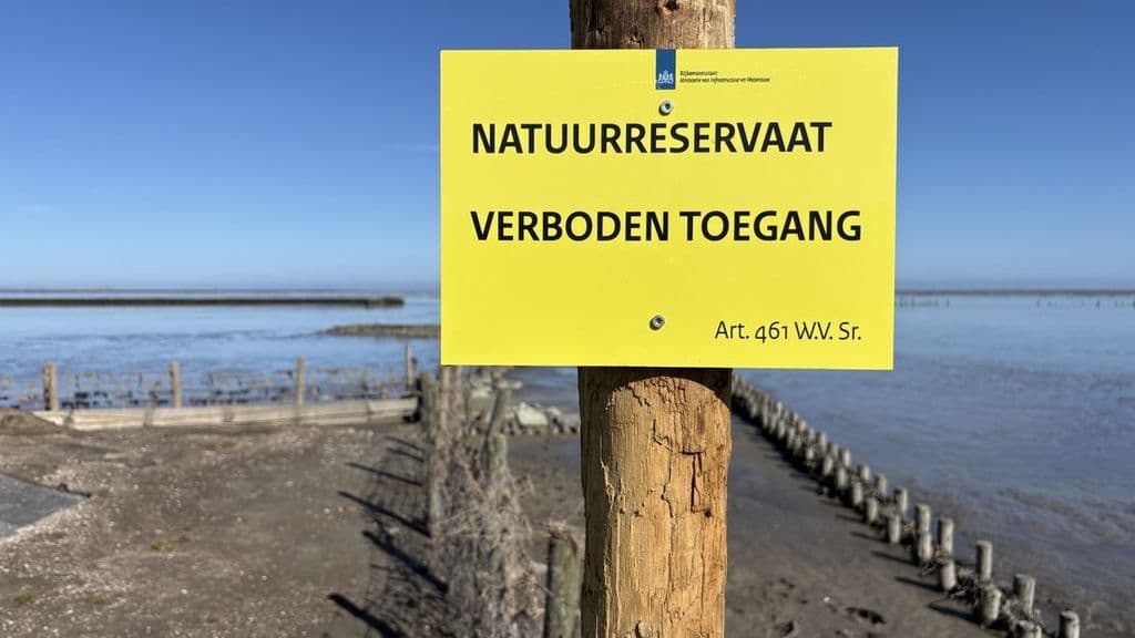 Na jaren strijd voor hun kwelder mogen de Wierummers er nu niet naartoe