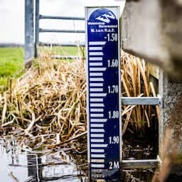 Grondwaterstanden in Nederland nog steeds laag door droogte van 2025: 'Minder weerbaar tegen nieuwe droge periode'
